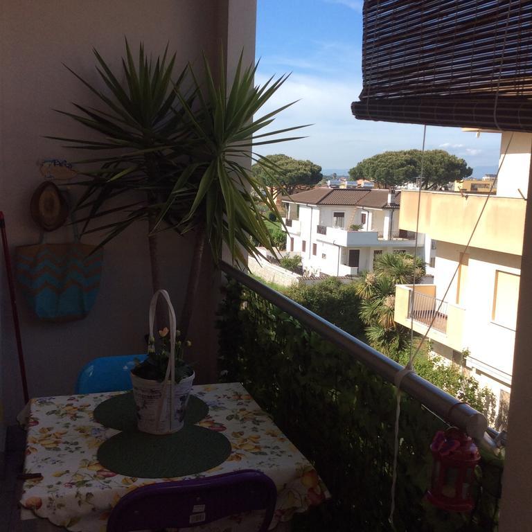 شقة نيتّونو  في Dolce Casa Di Elena الغرفة الصورة